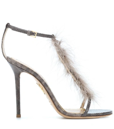 Shop Charlotte Olympia Provocateur Feather-trimmed Sandals In Female