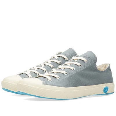 Shop Shoes Like Pottery 01jp Low Sneaker In Grey