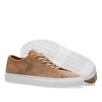 Shop Common Projects Tournament Low Waxed Suede In Neutrals