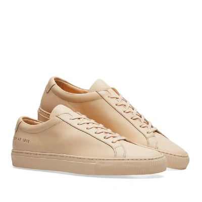 Shop Common Projects Woman By  Original Achilles Low In Neutrals