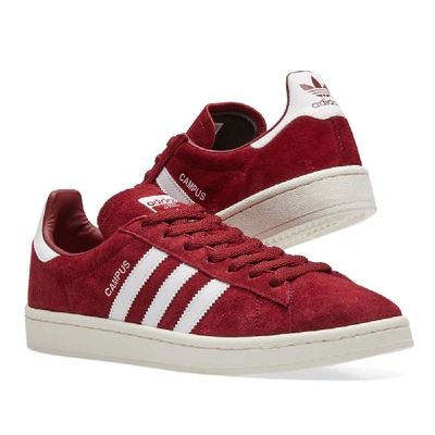 Shop Adidas Originals Adidas Campus In Burgundy