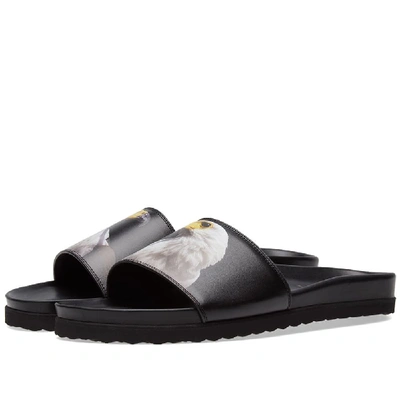 Shop Buscemi Aquila Eagle Slide In Black