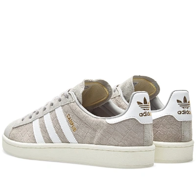 Shop Adidas Originals Adidas Campus W In Grey