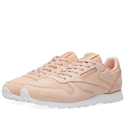 Shop Reebok Classic Leather W In Pink