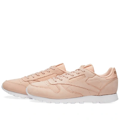 Shop Reebok Classic Leather W In Pink