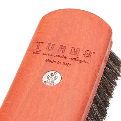 Shop Turms Calf & Cordovan Cleaning Set In N/a