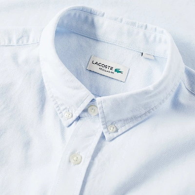 Shop Lacoste Short Sleeve Button Down Oxford Shirt In Blue
