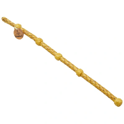 Shop Chamula Round Bracelet In Yellow