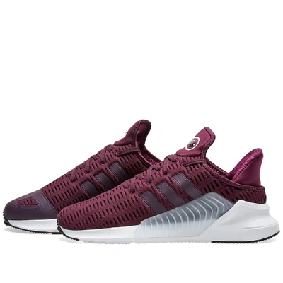 Shop Adidas Originals Adidas Climacool 02/17 W In Purple