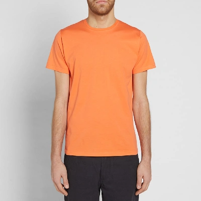 Shop Albam Classic Tee In Orange