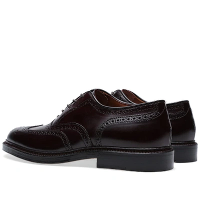 Shop Alden Shoe Company Alden Wing Tip Bal Oxford In Burgundy