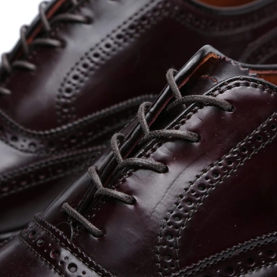 Shop Alden Shoe Company Alden Wing Tip Bal Oxford In Burgundy