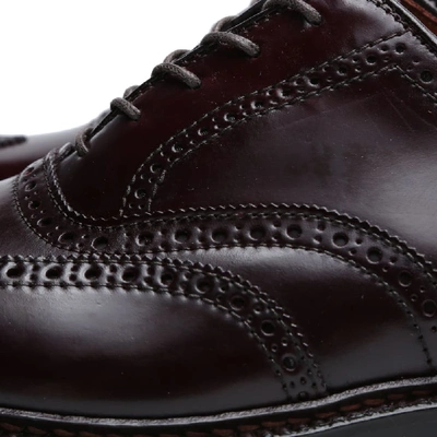 Shop Alden Shoe Company Alden Wing Tip Bal Oxford In Burgundy