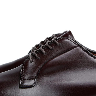 Shop Alden Shoe Company Alden Plain Toe Blucher In Burgundy