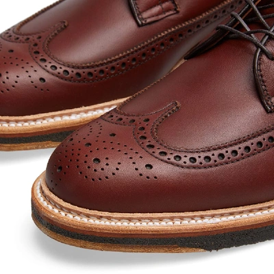 Shop Alden Shoe Company Alden Long Wing Blucher In Brown