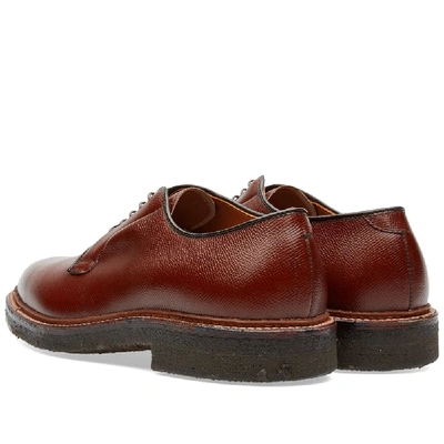 Shop Alden Shoe Company Alden Plain Toe Blucher In Brown