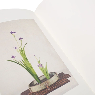 Shop Idea Ikebana  Book In N/a