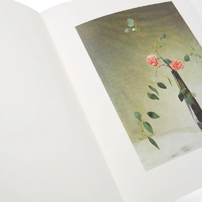 Shop Idea Ikebana  Book In N/a