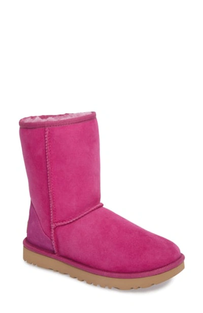 Shop Ugg 'classic Ii' Genuine Shearling Lined Short Boot In Magenta Rose Suede