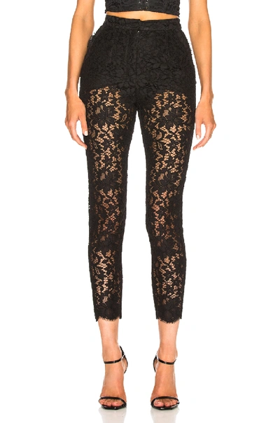 Shop Dolce & Gabbana Lace Trousers In Black