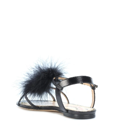Shop Charlotte Olympia Fifi Feather-trimmed Leather Sandals In Black