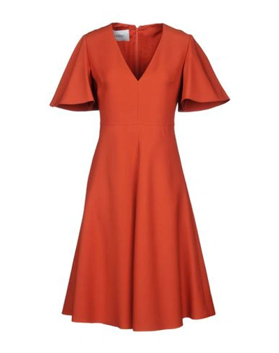 Shop Valentino Midi Dresses In Rust