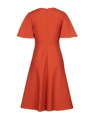 Shop Valentino Midi Dresses In Rust