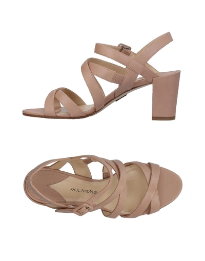 Shop Paul Andrew In Pale Pink