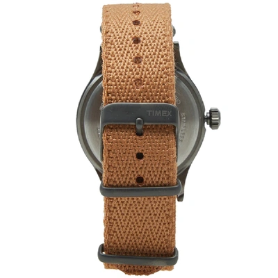 Shop Timex Archive Scout Brook Watch In Brown