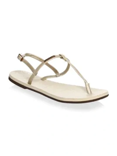 Shop Havaianas You Riviera T-strap Sandals In Sand Grey
