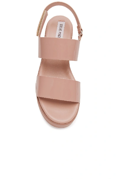 Shop Steve Madden Rachel Platform Sandal In Blush