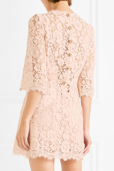 Shop Dolce & Gabbana Crystal-embellished Corded Lace Mini Dress In Blush