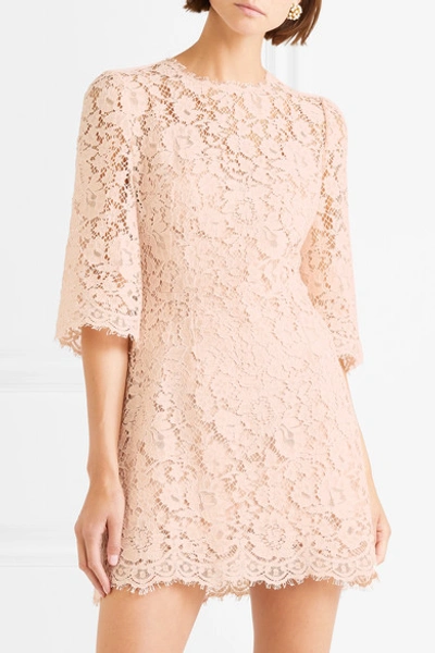 Shop Dolce & Gabbana Crystal-embellished Corded Lace Mini Dress In Blush