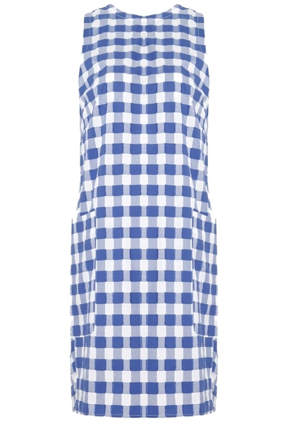 Shop Mds Stripes Sleeveless Shift Dress