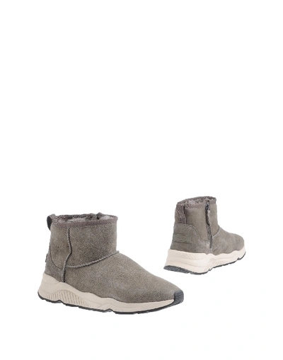 Shop Ash Boots In Grey