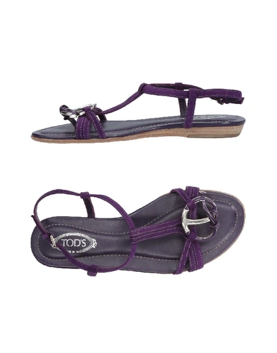 Shop Tod's In Purple