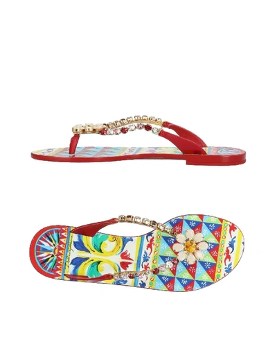 Shop Dolce & Gabbana Flip Flops In Red