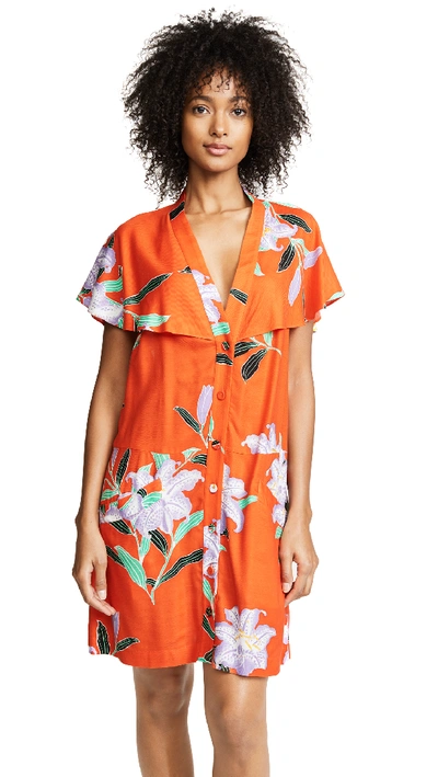 Shop Diane Von Furstenberg Argos Clementine Dress