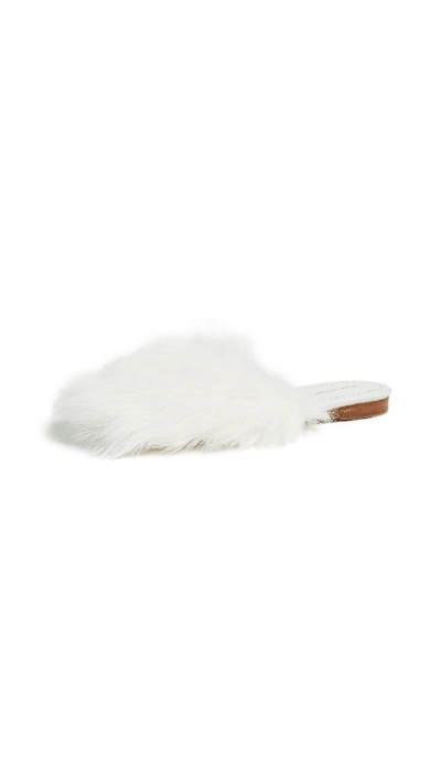 Shop Stuart Weitzman Fur Chic Slides In White