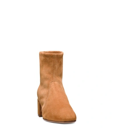 Shop Stuart Weitzman The Accordion Bootie In Caramel Suede