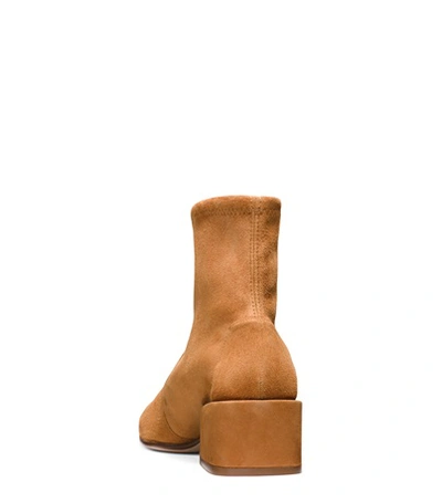 Shop Stuart Weitzman The Accordion Bootie In Caramel Suede