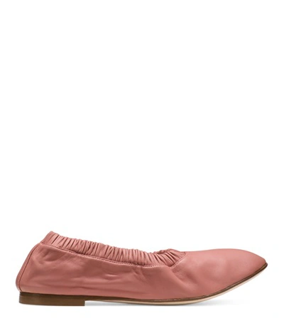 Shop Stuart Weitzman The Gina Flat In Dark Rose Matte Leather