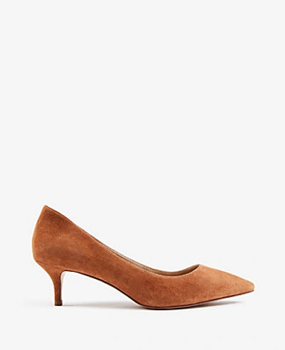 Shop Ann Taylor Reese Suede Pumps In Brown Toffee