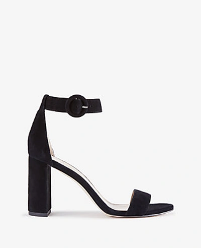 Shop Ann Taylor Leannette Suede Block Heel Sandals In Black