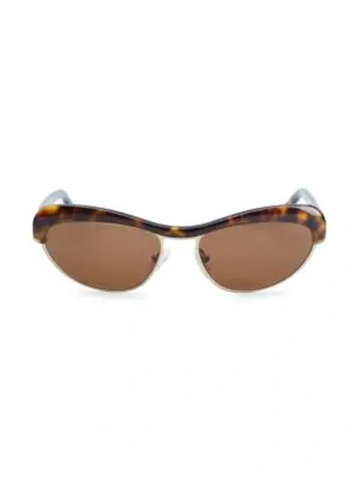 Shop Andy Wolf Akira Cat Eye Sunglasses In Brown