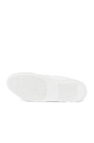 Shop Common Projects Leather Bball Low In White