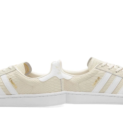 Shop Adidas Originals Adidas Campus W In Neutrals