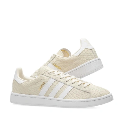 Shop Adidas Originals Adidas Campus W In Neutrals