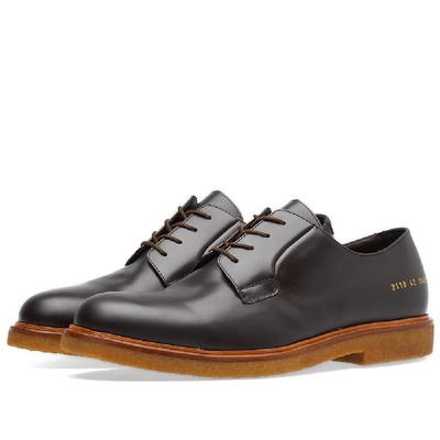 Shop Common Projects Derby In Brown