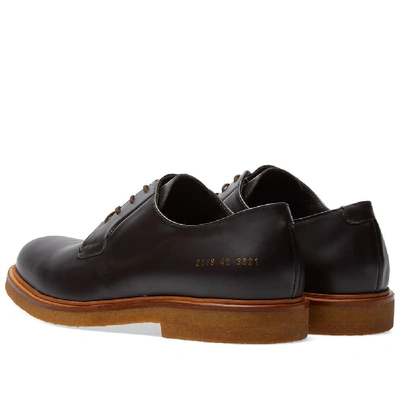 Shop Common Projects Derby In Brown